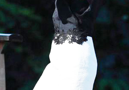 白色包裙搭配黑色上衣